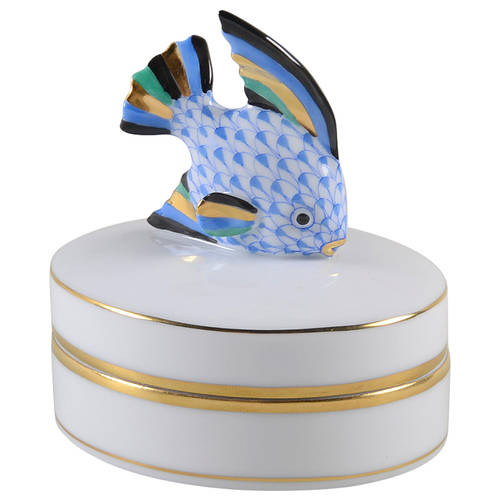 Boxes Angel Fish Box-Blue - No Box