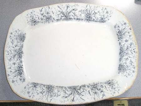 Spring Flowers by Whittaker &amp; Co