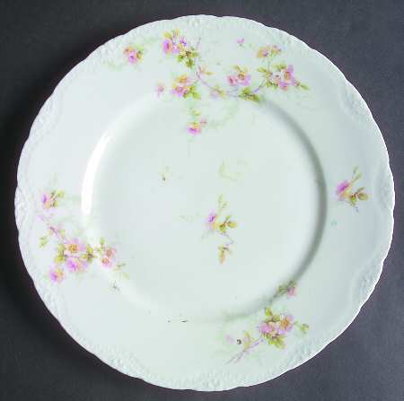 Schleiger 141-7 by Haviland