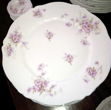 Schleiger 162-12 by Haviland