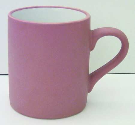Terra Nova Mug
