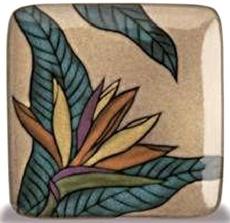 IPN2 by Island Plantations
