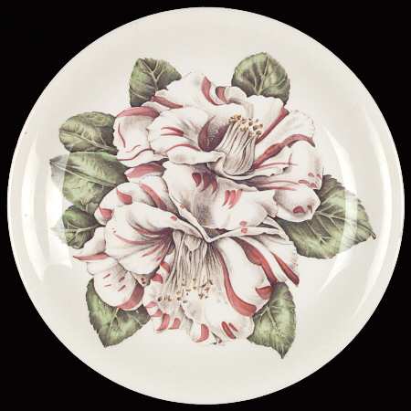 Camellia Multicolor by Johnson Brothers