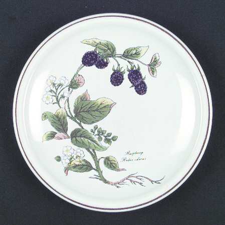 Botanical Garden Salad Plate by Jepcor