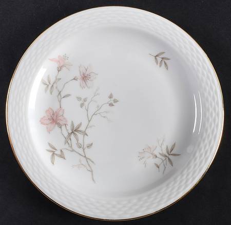 Rosita Dessert/Pie Plate