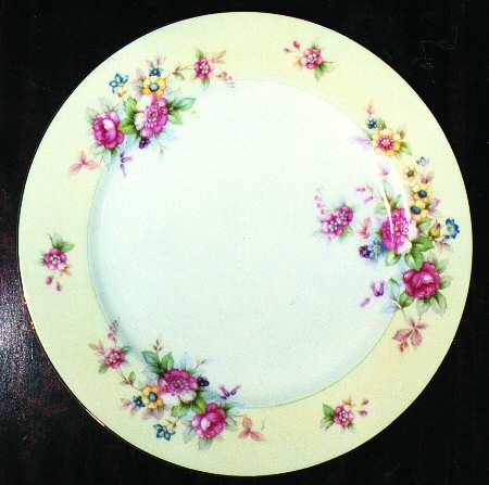 CEB50 Dinner Plate