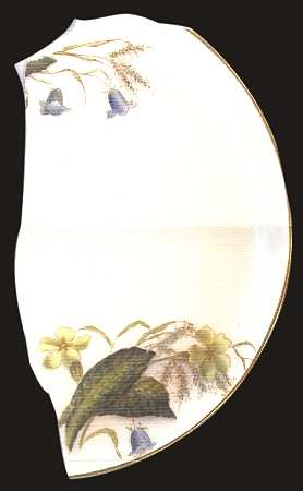 Primrose by George Jones &amp; Sons