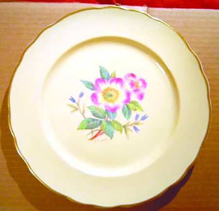 32931 Dinner Plate