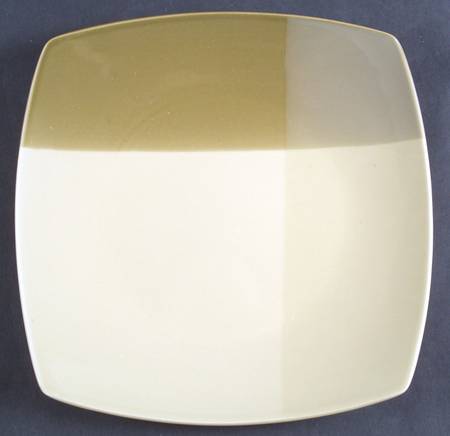 Studio Colortones Sage by JCPenney