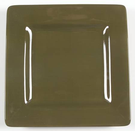 Pesto Square Dinner Plate