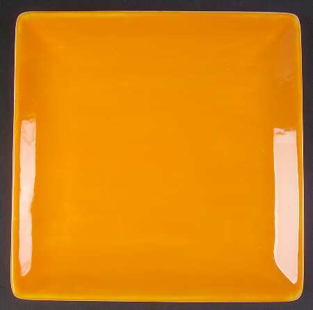 Vibrant Garden Square Dinner Plate by JCPenney