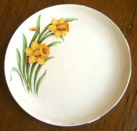 Daffodil by John Tams