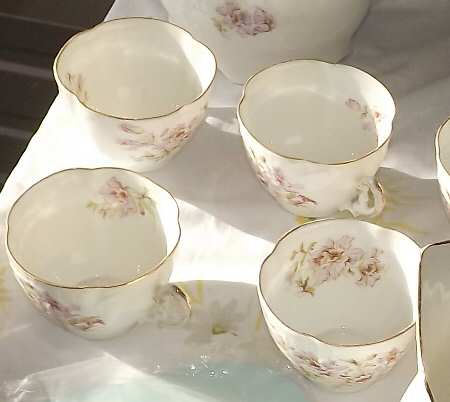 H1858 Flat Cup