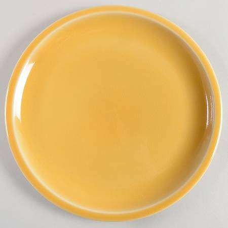 Cantine Dinner Plate
