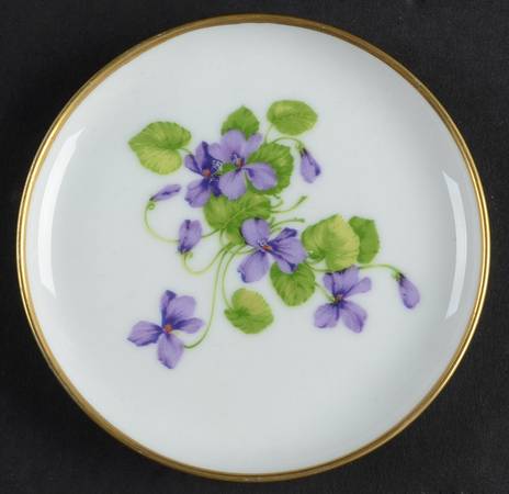 Viola Coaster