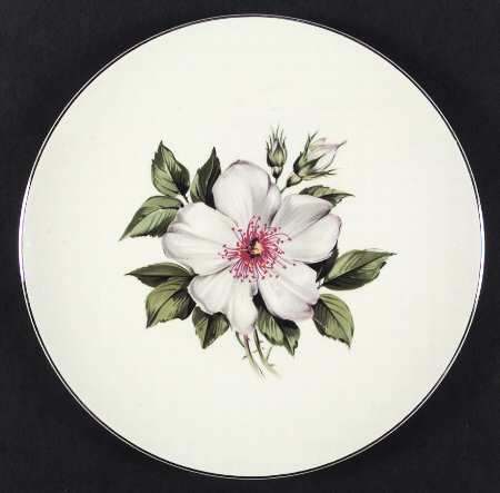 Damask Rose by Edwin Knowles