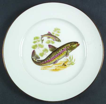 JKW75 RIM Dinner Plate