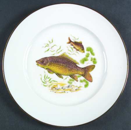 JKW75 RIM Dinner Plate