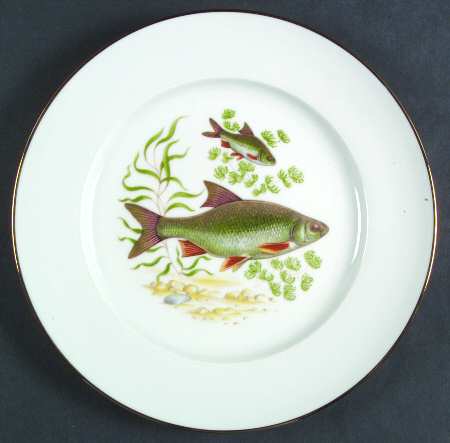 JKW75 RIM Dinner Plate
