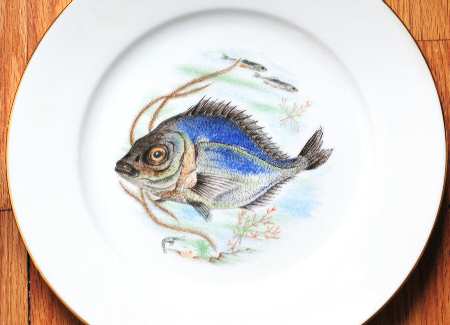 JKW75 RIM Dinner Plate