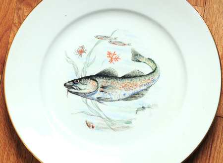 JKW75 RIM Dinner Plate