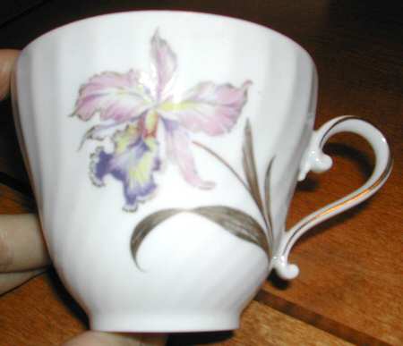 Orchidee by Kaiser