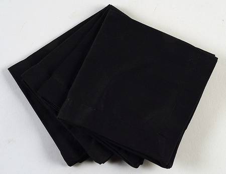 Linens Cloth Cocktail Napkin - Set of 4