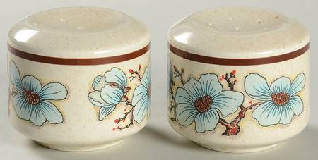 Softwind Salt & Pepper Set by Lenox