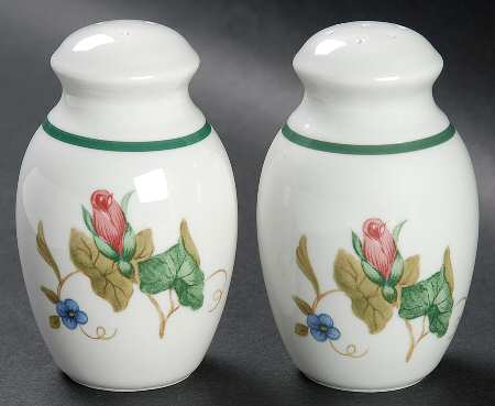 Summer Terrace Salt & Pepper Set by Lenox