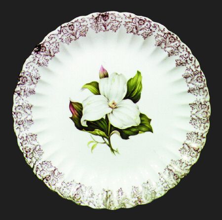 Trillium (Glamour, Fluted) by Limoges-American