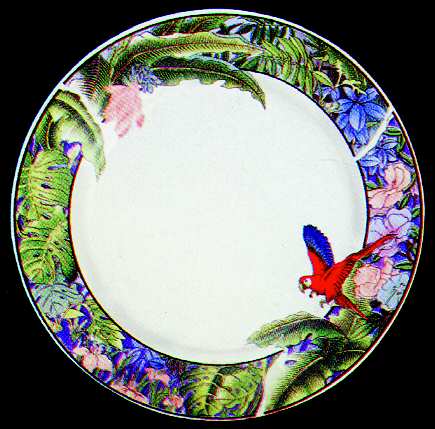Amazon by Lynn's China
