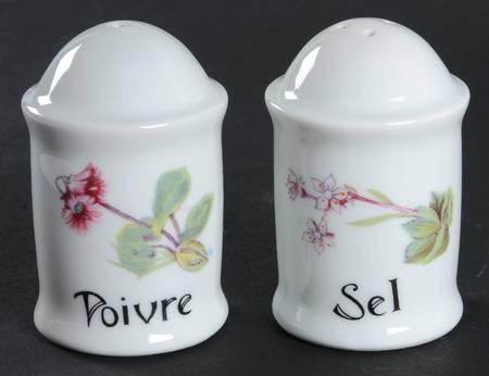 Wild Flower Salt & Pepper Set