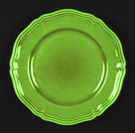 Argent Green by Longchamp