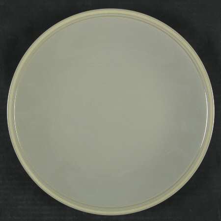 Taupe Stripe by Lindt-Stymeist