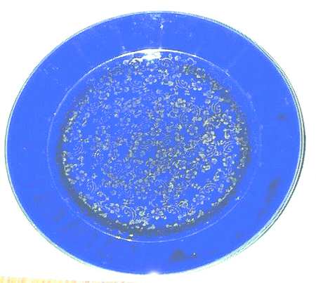 LIA53 Dinner Plate