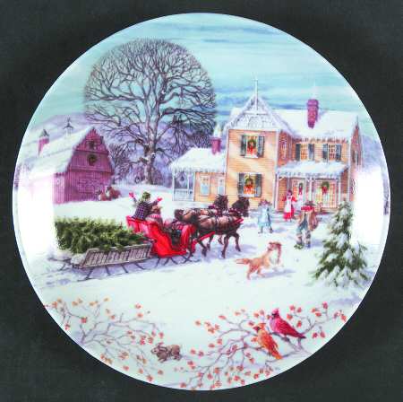 American Christmas Salad/Dessert Plate