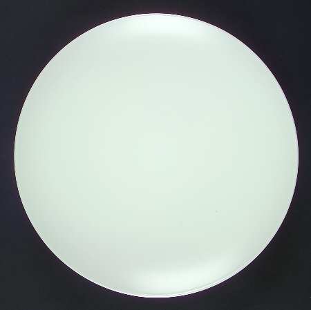 Coquina by Lynn's China