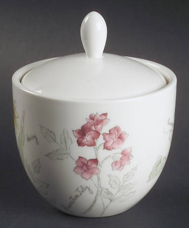 Artist Sketchbook Sugar Bowl & Lid