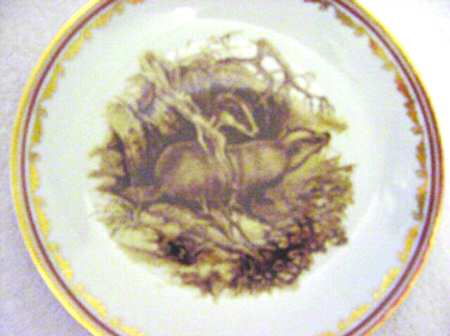 LFE3 Salad Plate