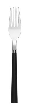 All in Good Taste Dinner Fork (7 1/2" or Larger)