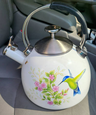 Butterfly Meadow Flutter Metal Kettle & Lid
