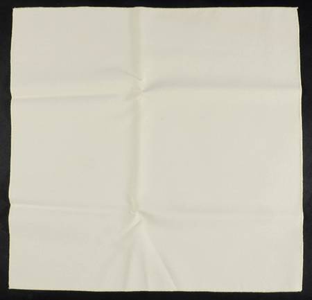 Stanwood (Gold Trim) Cloth Napkin