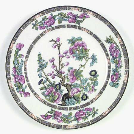 Indian Tree (Green Trim) by John Maddock &amp; Sons