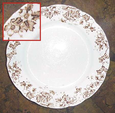 Oakland Brown (Scalloped, Gold Trim) by John Maddock &amp; Sons