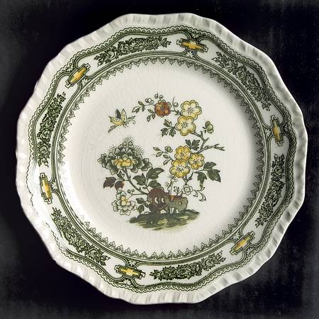 Manchu Green Multicolor Dessert/Pie Plate