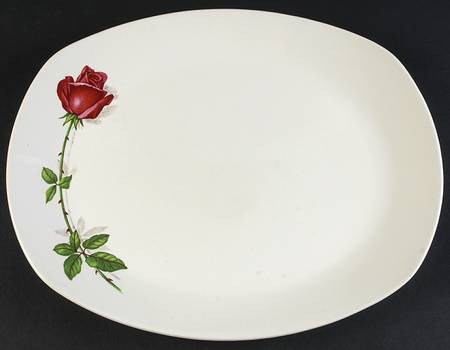 Fashion Rose by W R Midwinter Ltd