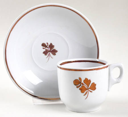 Tea Leaf Flat Cup & Saucer Set