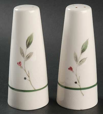 Camellia Salt & Pepper Set by Service Merchandise Inc