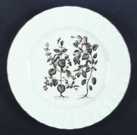 Botany by Mikasa