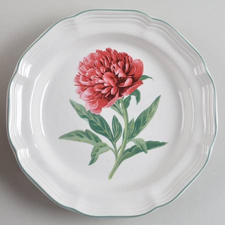 French Countryside Accent Salad/Dessert Plate by Mikasa